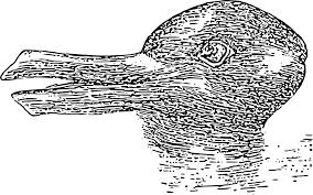 Image result for illusion pictures