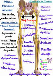 Ces symptômes variés, et bien d'autres encore, peuvent être provoqués par la maladie méconnue des kystes de tarlov. Association Afmkt France Maladie Des Kystes De Tarlov Arachnoidiens Posts Facebook