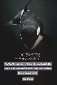 انه كان من المسبحين Quran Quotes Love Quran Quotes Quran Quotes Verses