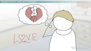 We did not find results for: Homeostasis In Psychology Video Lesson Transcript Study Com