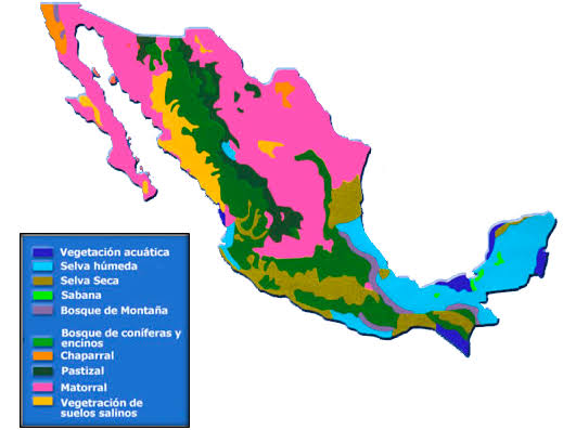 Resultado de imagen para distribucion del espacio geografico