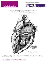 Search through 52646 colorings, dot to dots, tutorials and silhouettes. William E Laupus Health Sciences Library At East Carolina University Coloring Book Color Our Collections