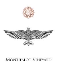 Image result for Vincetoxicum monticola