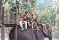 Image result for royal chitwan national park