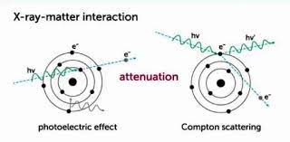 If you fail, then bless your heart. X Ray Production And Interaction With Matter Trivia Quiz Proprofs Quiz