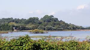 Brownsea island, also archaically known as branksea, is the largest of the islands in poole harbour in the county of dorset, england. Brownsea Island Dorset Wildlife Trust