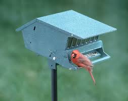 Bird Feeders For Small Birds Amazon Amazon Com Audubon Bird S Delight Squirrel Resistant Bird Feeder Model 7511i Pet Bird Feed Squirrel Resistant Bird Feeders Squirrel Proof Bird Feeders Bird