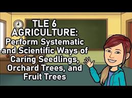 Tle 6 Ag Perform Systematic And Scientific Ways Of Caring Seedlings O Orchard Tree Seedlings Fruit Trees