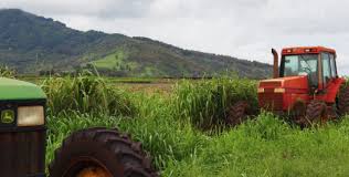 Countries that have plantation agriculture usually. Lawmakers Must Fix The Agribusiness Development Corporation Honolulu Civil Beat
