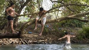 Is It Safe To Swim In The Mississippi River In The Twin Cities? | Friends  Of The Mississippi River