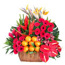 They're a little less popular but pitcher plants are also highly regarded plants for the lunar new year. Cny 228 Spring Blessing Flower Delivery Singapore