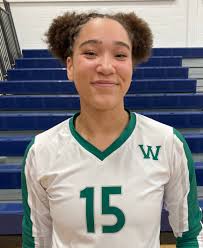 Greater Lansing girls volleyball Dream Team, all-area