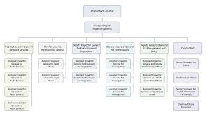 36 Meticulous Health Care Organizational Chart