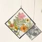 Pressed Flowers Wall Hanging event image