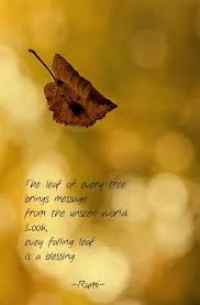 Rumi Quotes The Leaf Of Every Tree Brings Message From The Unseen World Look Every Falling Leaf Is A Blessing Rumi Quotes Rumi Leaf Quotes