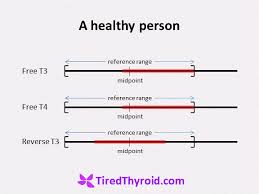 thyroid reference ranges are too broad what is healthy