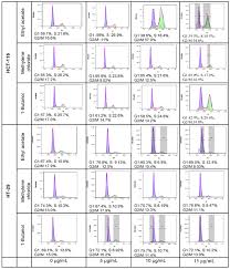 Image result for Lantana ukambensis