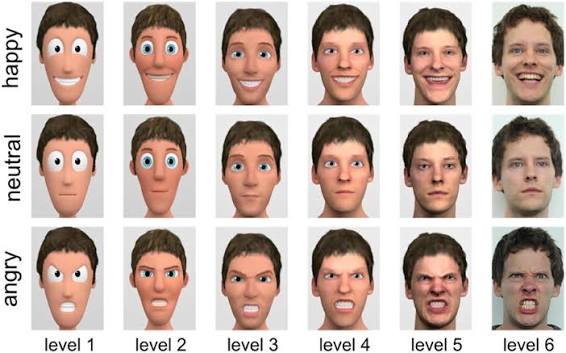 Differential effects of face-realism and emotion on event-related brain  potentials and their implications for the uncanny valley theory |  Scientific Reports