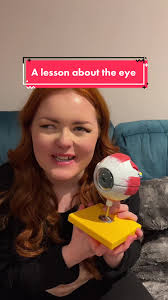 Understanding Eye Anatomy from a Blind Perspective