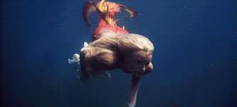 Pin By Babih On Mermaids Mermaid Gifs Mermaid Pictures Splash Movie