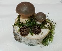 Birkenstamm Deko Tischdeko Natur Birke Pilz Holzscheibe Birke In Mobel Wohnen Dekoration Dekofiguren Eba Basteln Herbst Dekoration Birkenstamm Deko Deko