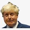 Boris, stay home, enjoy your fish Https Encrypted Tbn0 Gstatic Com Images Q Tbn And9gcqjkojpsyzk98ex Dhgt Ppv5mjy46fft47k Fryq0ozi 7gpzy Usqp Cau
