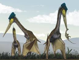We know from skeletal anatomy and now we know from preserved soft tissue remains in the fossil record that birds are actually a specialised type of dinosaur; Why A Pterosaur Is Not A Dinosaur Science Smithsonian Magazine
