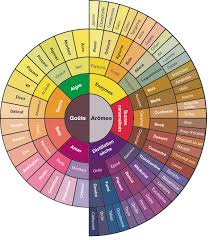 La Roue Des Saveurs La Fabrique Du Cafe Torrefaction Du Cafe Degustation De Cafe Torrefaction