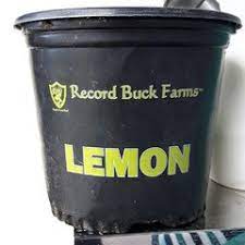 Pheasant, turkey and whitetail are our best repeat hunting experiences. Record Buck Farms