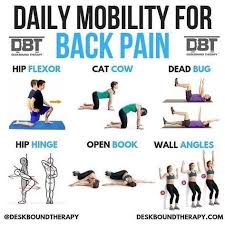 Pin On Backpain Relief