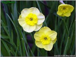 Pin On Bulbs