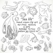 Hand Drawn Sea Life Clipartsvg Sea Animals Etsy How To Draw Hands Sea Life Clipart Ocean Drawing