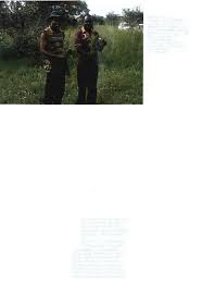 Image result for Pavetta vanwykiana