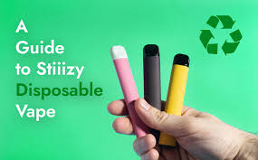 A Guide to Stiiizy Disposable Vape