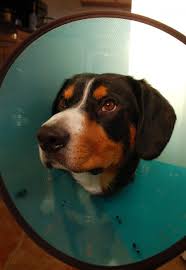 fy alternatives to the dreaded cone
