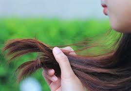 Le cheveu tient ainsi environ deux mois, puis tombe. Quand Faut Il Se Couper Les Cheveux La Frequence De Coupe