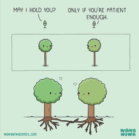It's beggining to look a lot like... I need to switch back to easy mode.  👀🎄😅 Happy tuesday, friends! ✨️ Enjoy some tree comics. #trees #tree  #wholesomememes #wholesome
