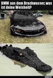 Bmw Aus Dem Brackwasser Was Ist Deine Weisheit Lustige Bilder Spruche Witze Echt Lustig