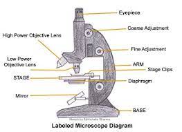 Pin On Science Fair
