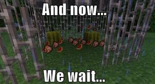 Funny anniversary, valentines card 'never laugh at your wife choices.you are one of them!'. Now We Wait