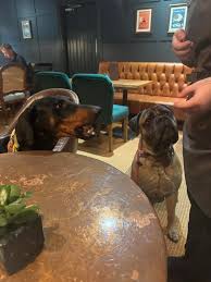 Profile for Malvern Fabdogs