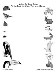 Now If Only I Could Remember The Konos Hands On Activity With This Page Homeschool Science Science Lessons Animal Adaptations