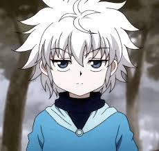 Post to your profile share via email report story. Family But Demented Hunter Anime Killua Killua Cat