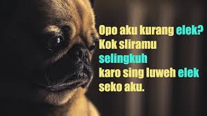 Sinonim kata sedih adalah mengurut dada, kecewa, susah, terharu, trenyuh. Luapkan Emosi Dengan Kata Kata Kesal Sama Seseorang Ini Kepogaul