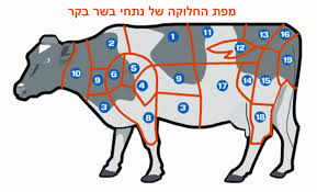 hebrew english meat guide for israel jamie geller