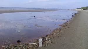 A 2h30 de paris, à ¼ d'heure du car ferry de ouistreham, à proximité des plages du débarquement et de caen, l'hôtel des thermes, classé 3 étoiles, bénéficie d'une situation exceptionnelle pour un séjour ou un week end en normandie. Environnement A Honfleur La Plage Souvent Souillee Mais Pas Sale Trouville Deauville Maville Com