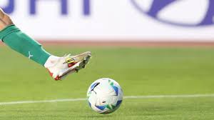 ¡Histórico! Dos Argentinos Dominan la Copa Libertadores 2025