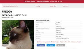 Check spelling or type a new query. Unsere Katze Kam Nicht Nach Hause Mamaskind