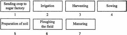 Biology Questions On Crop Production And Management For 8th Cbse