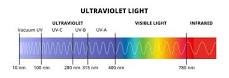 What's the Difference Between Black Light vs. UV Light?